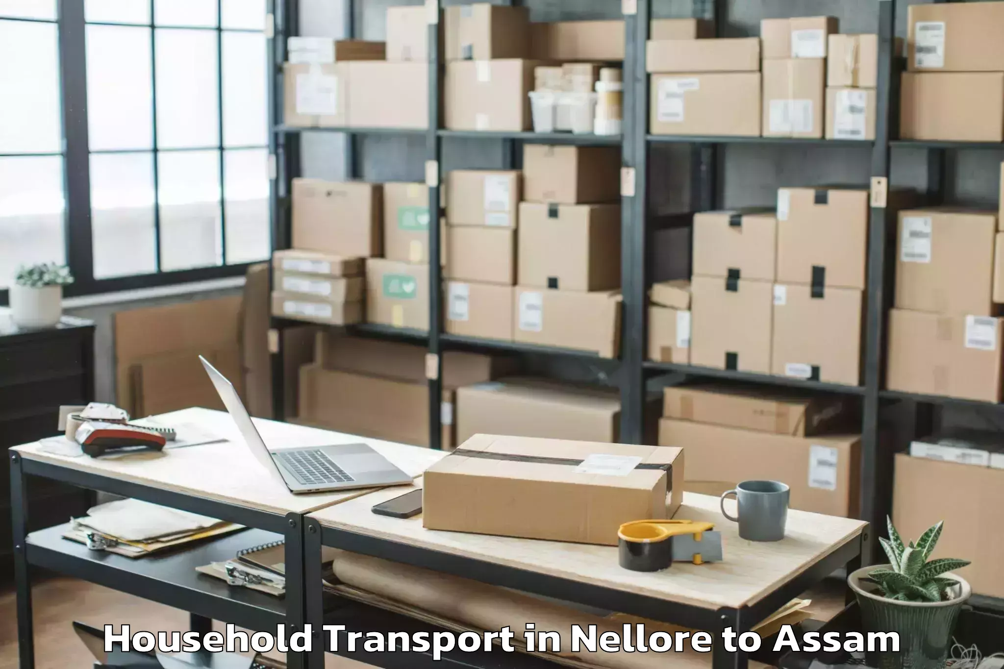 Book Nellore to Lumding Household Transport Online